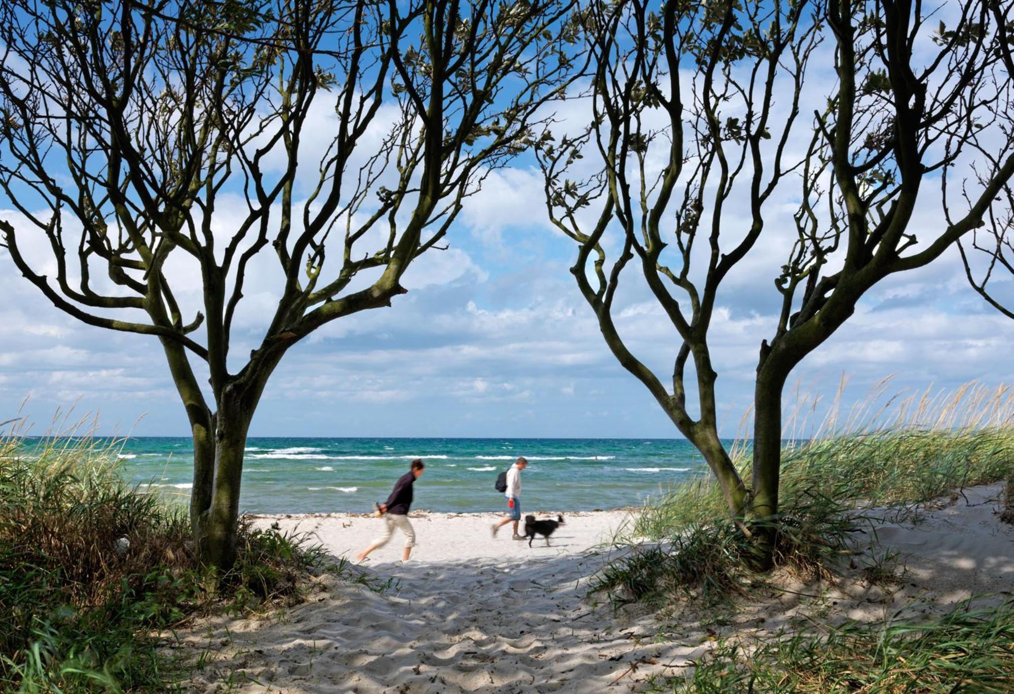 Haus Luv Villa Insel Poel Kültér fotó